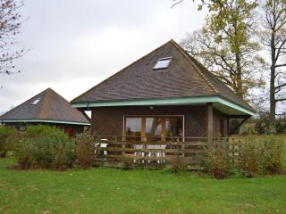 Chalet en pleine nature à Orsennes avec étang à proximité, idéal pour 6 personnes et animaux admis - FR-1-591-170 - Orsennes - 0