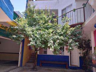 CASA de HUESPEDES del SOL BARBON - Cedro - 0