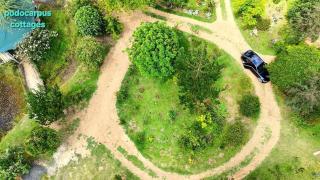 Podocarpus Cottages -02 - Naro Moru - 3