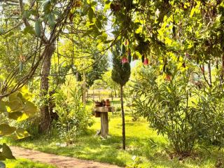 Podocarpus Cottages -02 - Naro Moru - 4