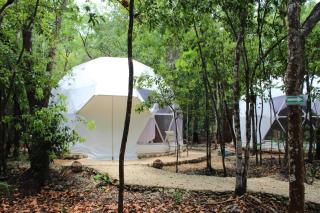 Glamping Mayan Glam - 0