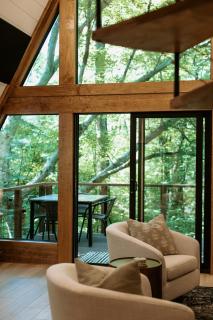 Beautiful A-Frame Treehouse in the Forest - 2