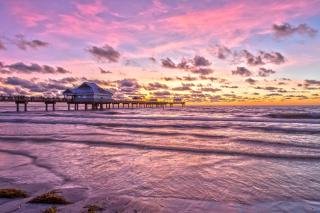 Tropical Paradise - Clearwater Beach - 7