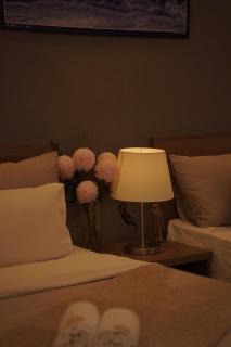 Camellia Villa Đà Lạt - Ấp Xuân An - 1