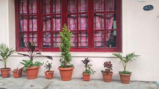 yercaud Happy valley cottage - Yercaud - 8