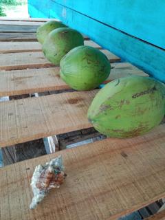 The Ridge Surf Lodge - 2