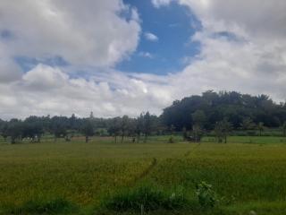 Villa Santai Bujak - 0