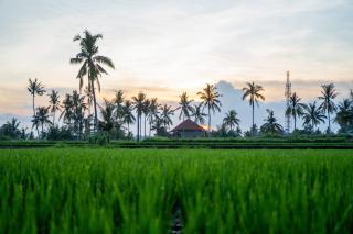 Ikada Villa by GenuineHost - 1