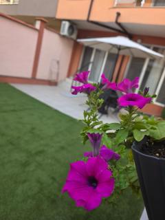 Secret GARDEN - Nesebar - 0