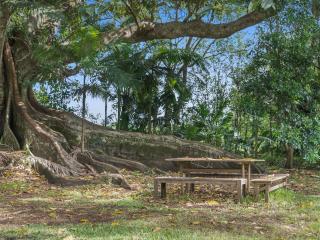 Fig Tree House - 8