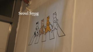 Seoul Snug - 6