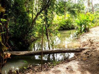 Hidden Waterfall Private Houses - Ko Phangan - 5