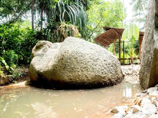 Hidden Waterfall Private Houses - Ko Phangan - 1