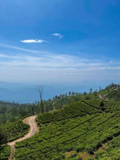 Leisure Mount Villa - Haputale - 7