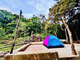 Genderless Jungle - Matale - 6