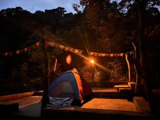 Genderless Jungle - Matale - 5