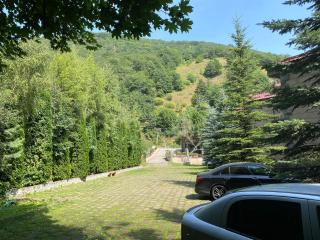 Tsaghkadzor Family Villa - 4