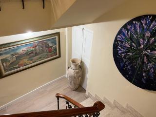 Agapanthus - 3