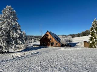 Waldhof The Tann Schluchsee Pool - 6 BR - 6