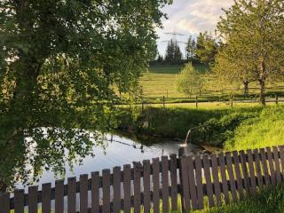 Waldhof The Tann Schluchsee Pool - 6 BR - 1
