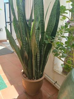 Villa Ande - Beach Homestay Pondicherry - 1