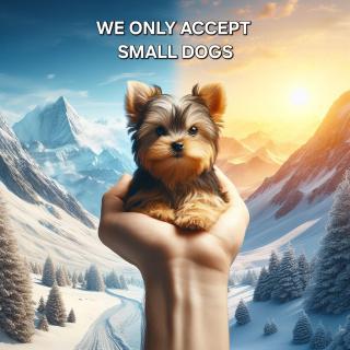 Giewont View Apartamenty z widokiem Seven & Sauna - Grunwaldzka Krupówki Centrum by RentiloPL - Zakopane - 2