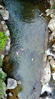 Genderless Jungle - Matale - 8