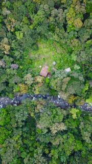 Genderless Jungle - Matale - 7