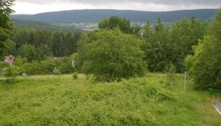 Ferienwohnung Fichtelwald - 4