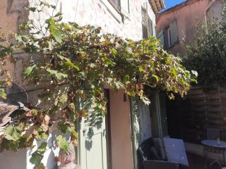Cosy tiny home near Grasse - Grasse - 0
