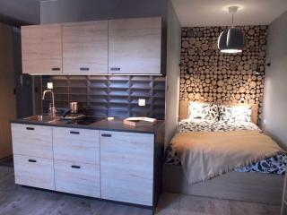 Apartament Silence Zacisze - 4