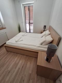Duna Wellness Apartment - 1