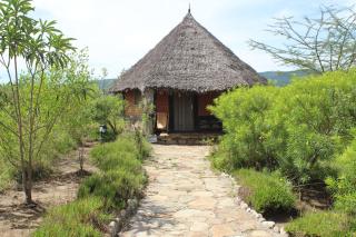 Eco Mara Tented Camp - 7