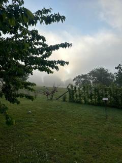 Gemütliche Ferienwohnung direkt am Wald - Arnsberg - 5