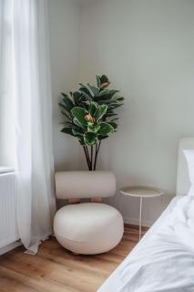 Cozy Apartment Great Location Free Parking - 7