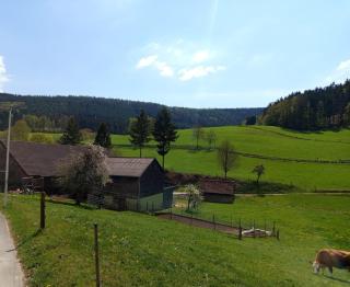 Ferienwohnung Hennrich - Weilbach - 3