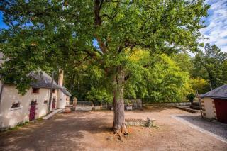 La Forge - Cour-Cheverny - 1