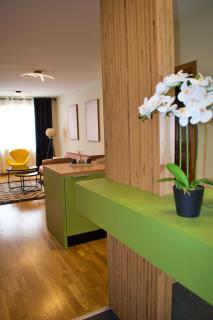Delux Apartment - Tim Sarajevo - 8