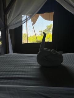 Eco Mara Tented Camp - Ololaimutiek - 2