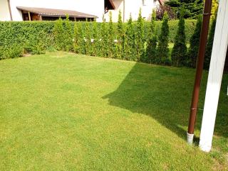 Apartament Zielona Przystań - 8