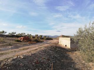 Villa CHELO - Pago Aguilar Bajo - 7