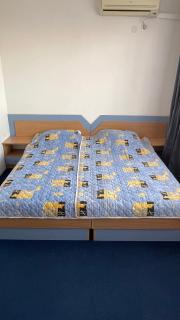 Guest House Mihaela - 1
