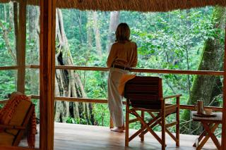 Koroi Forest Camp - 0