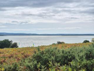 Beautiful static caravan, sleeps 6 - Hamworthy - 1