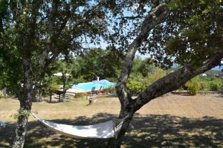 Le Manse - Saint-Victor-de-Malcap - 1