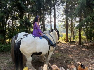 2 Guests - Pet Friendly - Traditional Gypsy Vardo - Longhope - 6