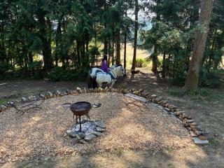 2 Guests - Pet Friendly - Traditional Gypsy Vardo - Longhope - 5