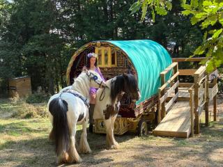 2 Guests - Pet Friendly - Traditional Gypsy Vardo - 0