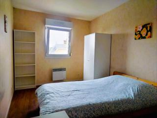 Appartement confortable à proximité du centre ville - Reims - 6