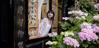 Yiyuan Snow Mountain View Naxi Style Inn- Lijiang Old Town Mufu branch - Lijiang - 3
